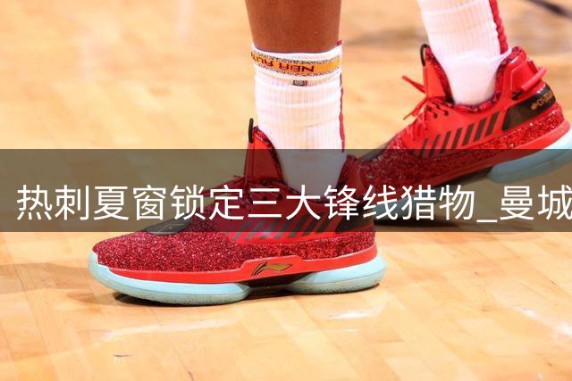 热刺夏窗锁定三大锋线猎物 曼城新星领衔引援名单